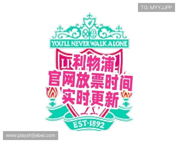 世界杯比赛期间的观赛指南与现场体验攻略，助你享受极致足球盛宴